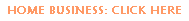 home business